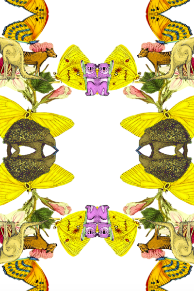 OZZIE CHILDREN - WHITE