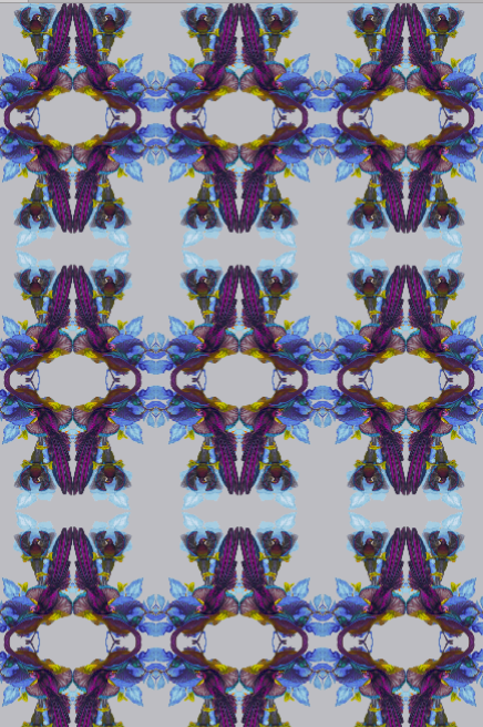 OISEAU - GREY