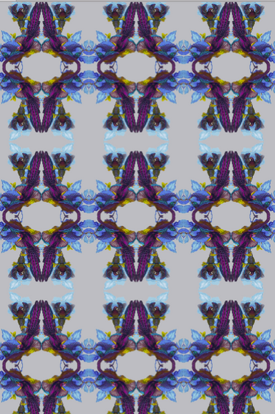 OISEAU - GREY