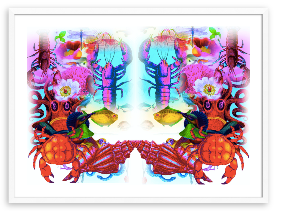 SEA LIFE PRINT & FRAME-ART PAINT