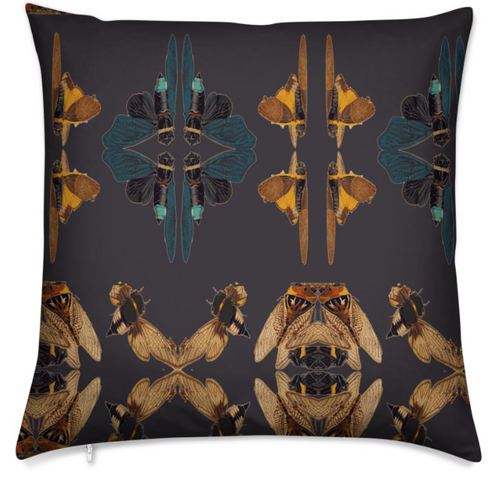 CICADA MEDIUM CUSHION -NOIR